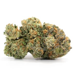 critical kush