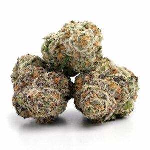 Gelato strain