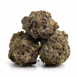 Northern Lights weed